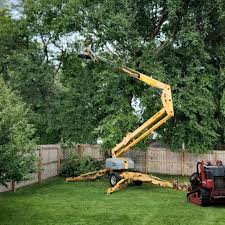 Seasonal Cleanup (Spring/Fall) in Fountain Inn, SC