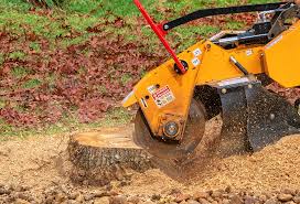 Best Commercial Tree Services  in Fountain Inn, SC